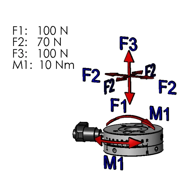 Schema forze massime piattaforma girevole DS08