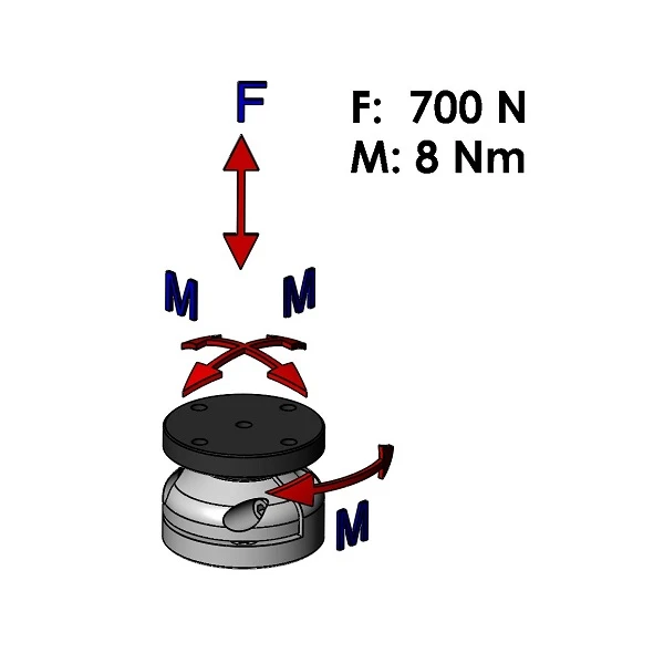 Schema forze massime giunto sferico GK04