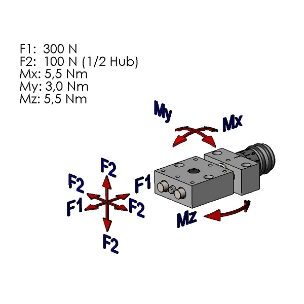 Schema carichi massimi tavola di posizionamento corta PT1408