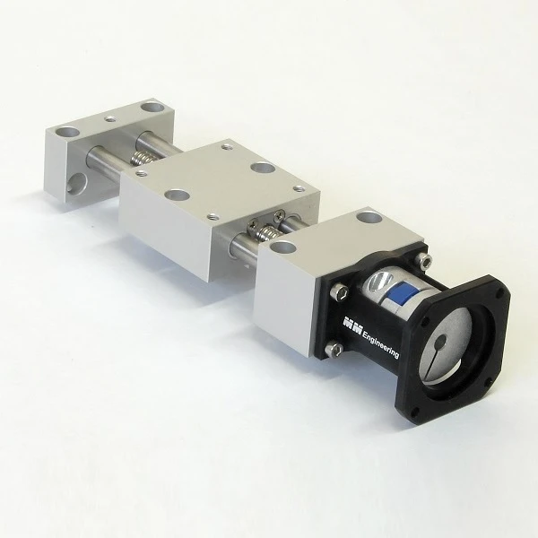 Guida lineare motorizzata